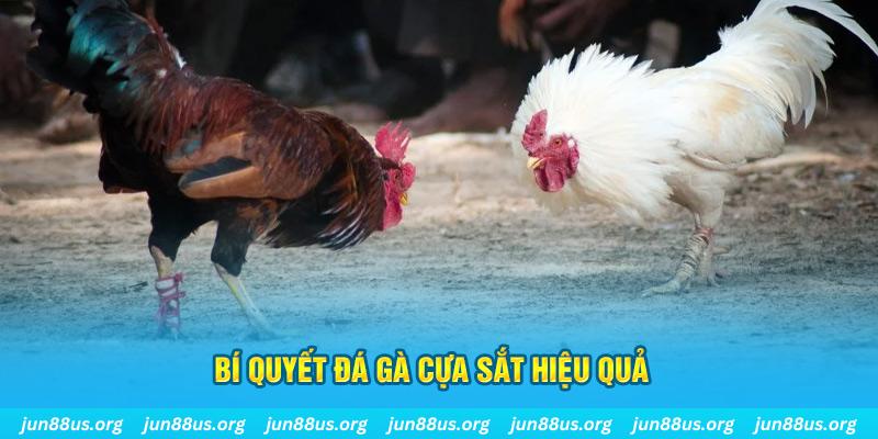 vz99 nổ hũ may mắn