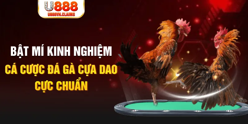 vz99 casino hồ tràm có cho người việt vào không