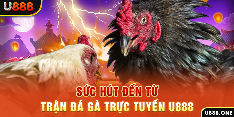 vz99 đăng nhập poker 2024