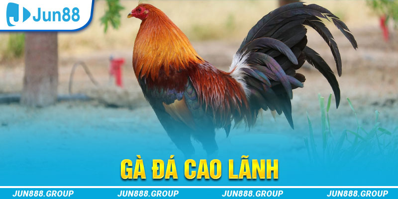vz99 tai game vua bai ve may tinh