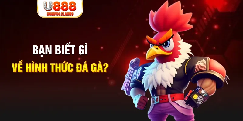 vz99 đăng nhập liêng tặng tiền