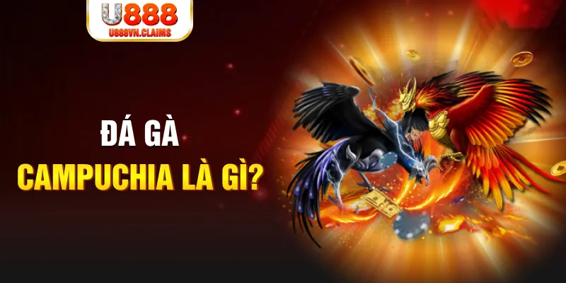 vz99 what is the best online casino for real money