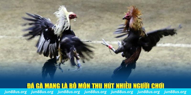 vz99 đăng nhập sòng bạc số 1