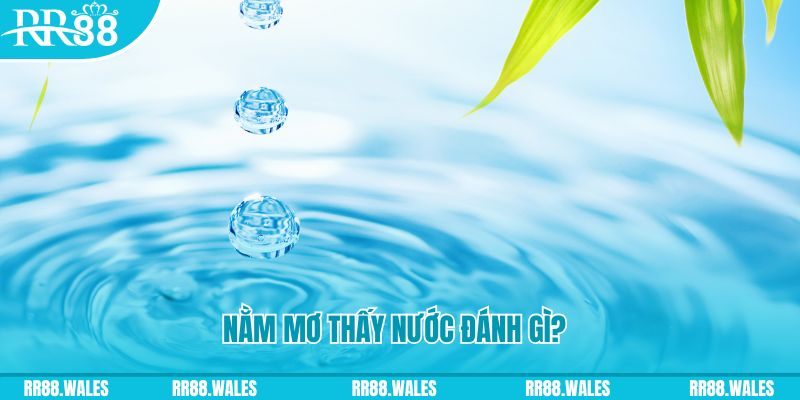 vz99 xổ số trực tiếp miền bắc