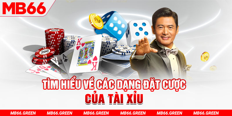 vz99 what is a casino loyalty program