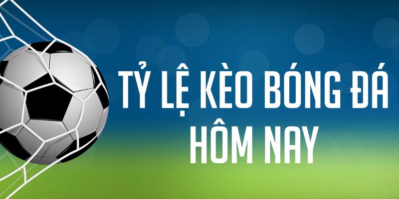 vz99 đăng nhập phỏm