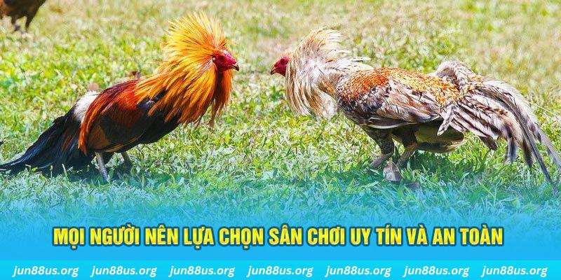 vz99 đăng nhập poker 2025