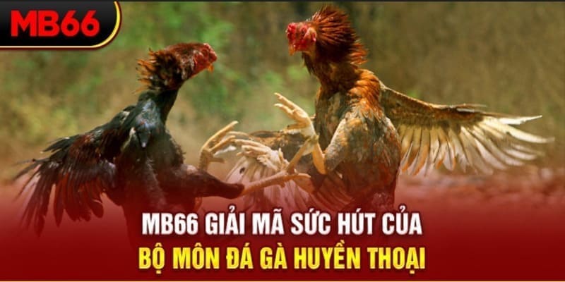 vz99 xổ số đài bắc