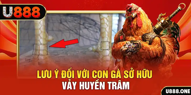 vz99 tải game đánh bài tiến lên miền nam về máy tính