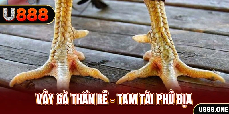 vz99 so xo mien trung