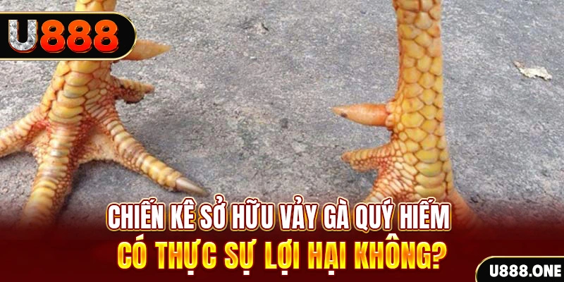 vz99 xổ số miền trung
