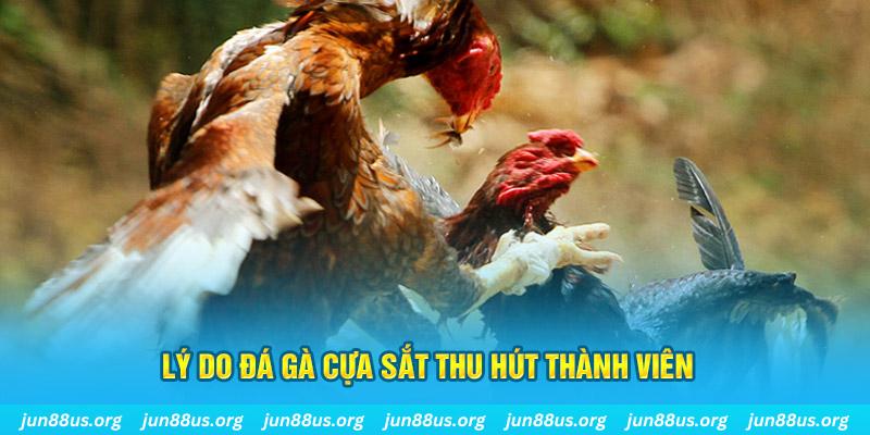 vz99 nổ hũ ăn bao nhiêu