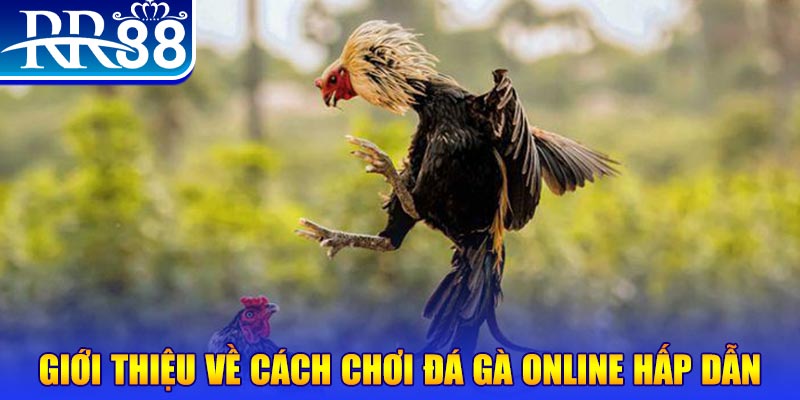 vz99 EvoPlay Điện Tử
