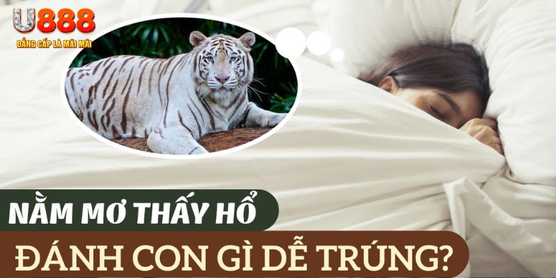 nohu .mx nổ hủ là gì