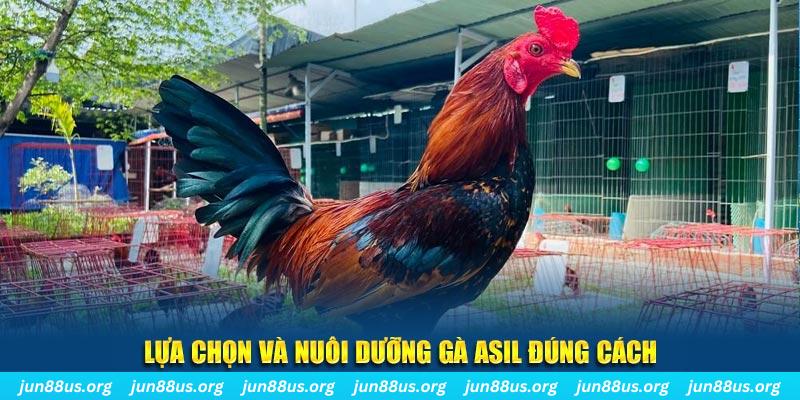 vz99 nổ hũ thần tài là gì
