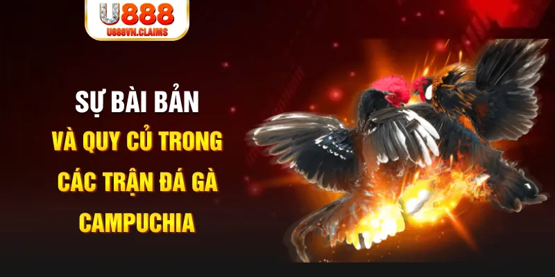 vz99 game xếp bài trên máy tính