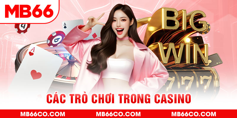 vz99 chổi lông gà