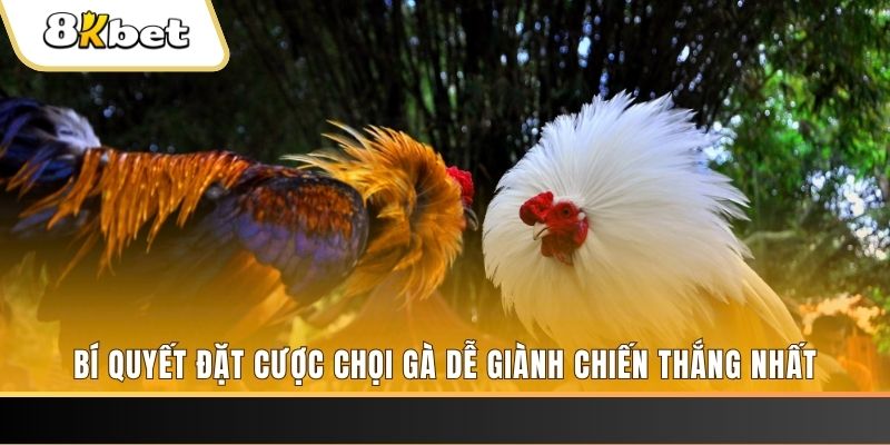 vz99 nổ hũ chơi như thế nào
