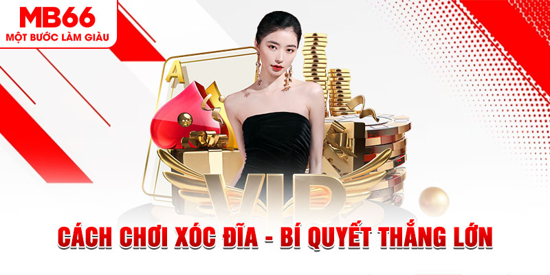vz99 Đĩa màu ace