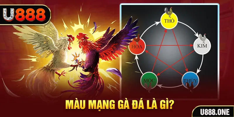 vz99 V8 Game Bài 3d