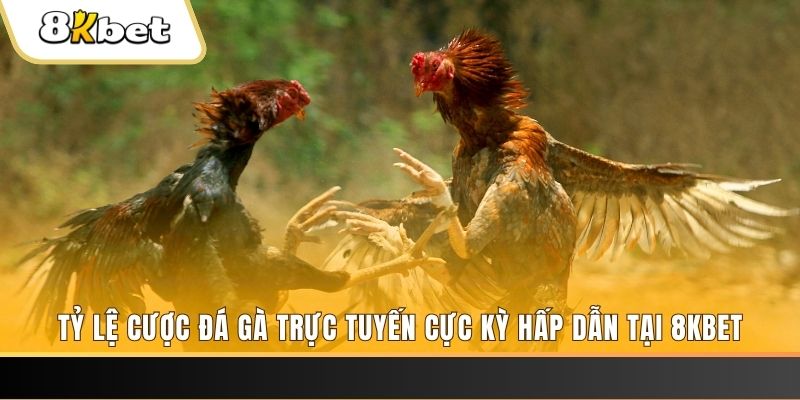 vz99 xổ số miền bắc chủ nhật