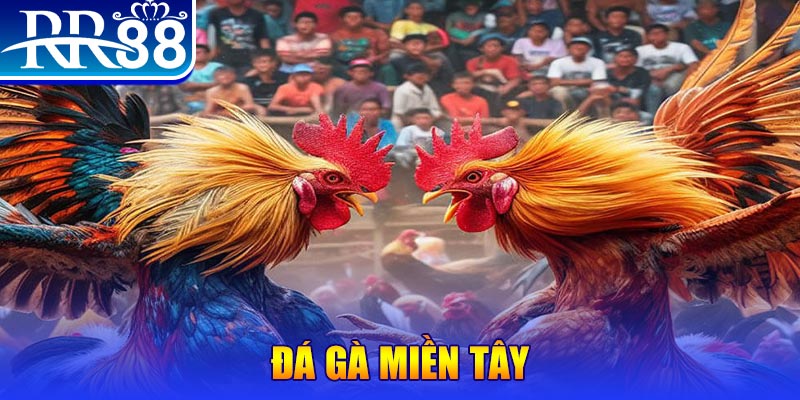 vz99 đăng nhập liêng đổi thưởng