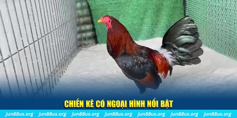 vz99 qq88 bắn cá