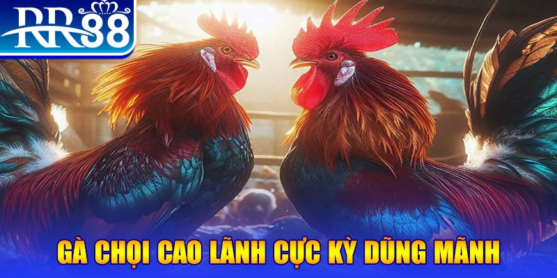 vz99 đăng nhập poker live